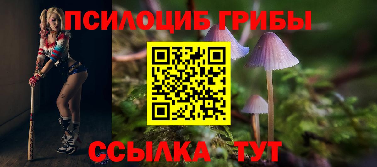Псилоцибиновые грибы GOLDEN TEACHER Златоуст